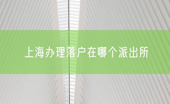 上海办理落户在哪个派出所