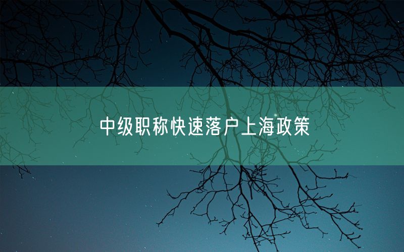 中级职称快速落户上海政策