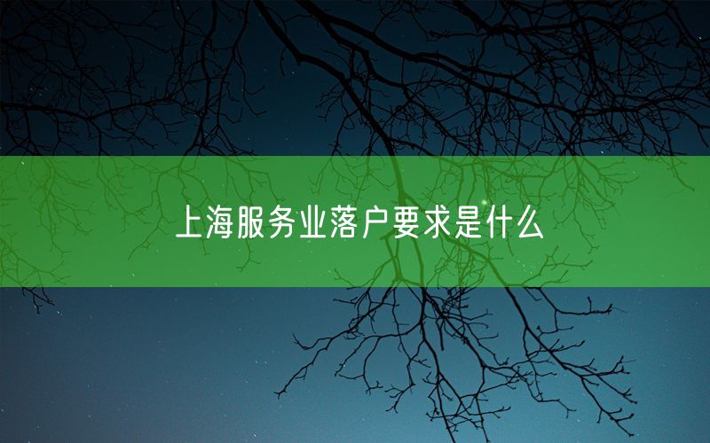 上海服务业落户要求是什么