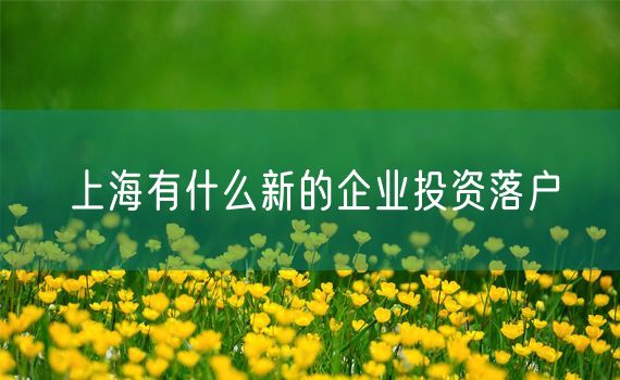 上海有什么新的企业投资落户