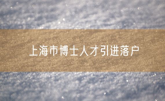 上海市博士人才引进落户