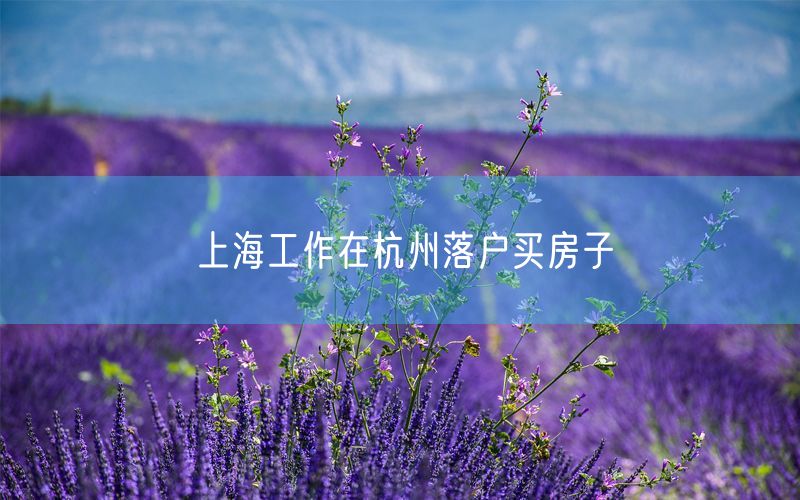 上海工作在杭州落户买房子
