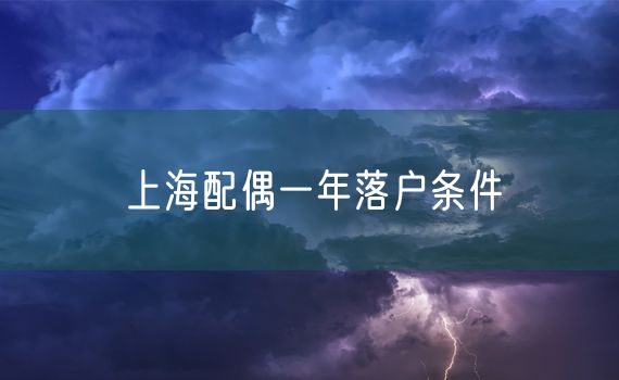 上海配偶一年落户条件