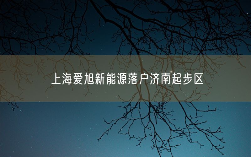 上海爱旭新能源落户济南起步区