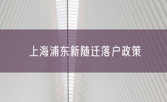 上海浦东新随迁落户政策