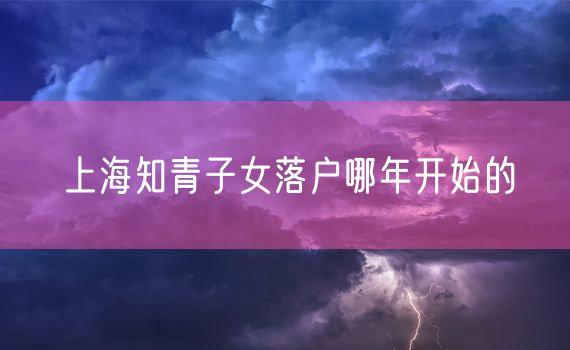 上海知青子女落户哪年开始的