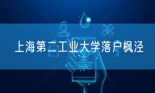 上海第二工业大学落户枫泾