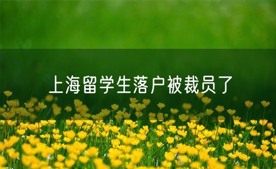 上海留学生落户被裁员了
