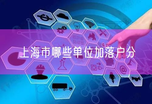 上海市哪些单位加落户分