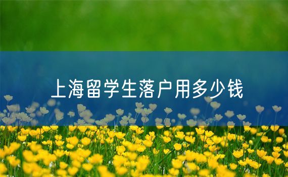 上海留学生落户用多少钱