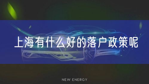 上海有什么好的落户政策呢
