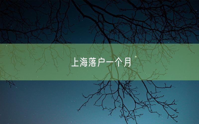 上海落户一个月