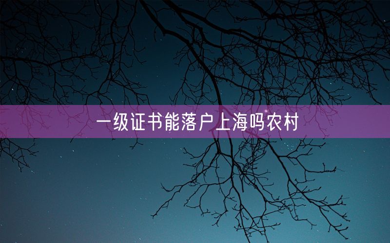 一级证书能落户上海吗农村