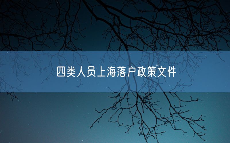 四类人员上海落户政策文件