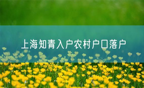 上海知青入户农村户口落户