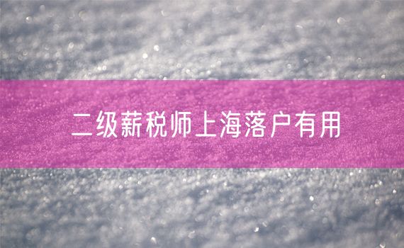 二级薪税师上海落户有用