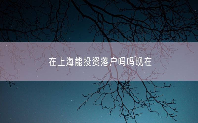 在上海能投资落户吗吗现在