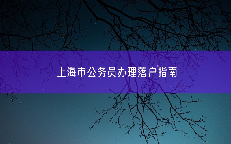 上海市公务员办理落户指南