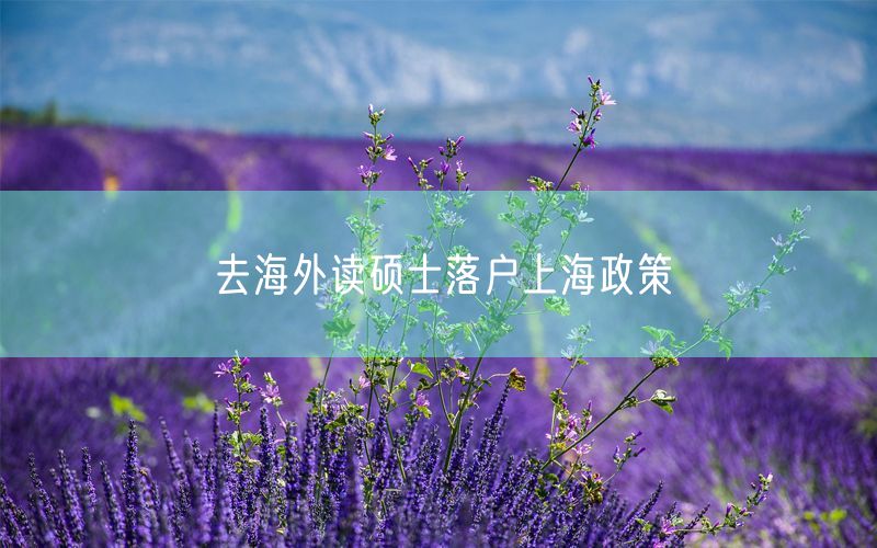 去海外读硕士落户上海政策