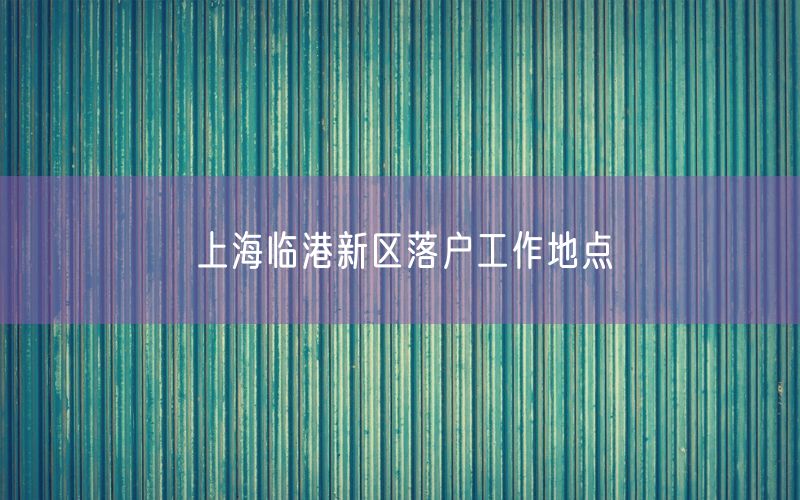 上海临港新区落户工作地点