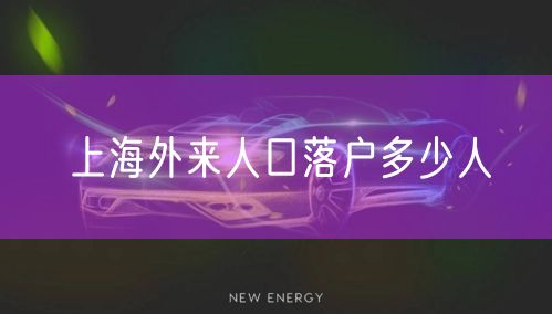 上海外来人口落户多少人