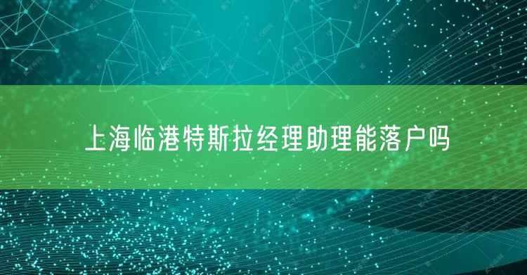 上海临港特斯拉经理助理能落户吗
