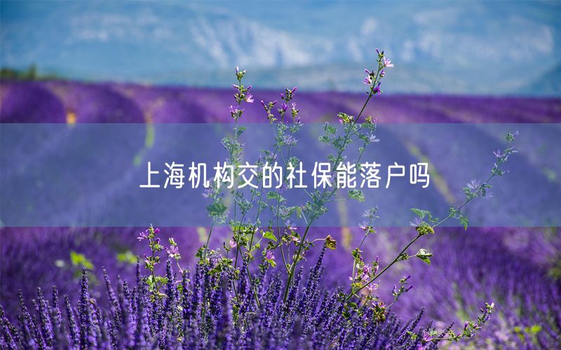 上海机构交的社保能落户吗