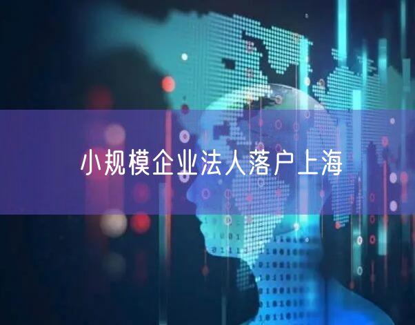 小规模企业法人落户上海