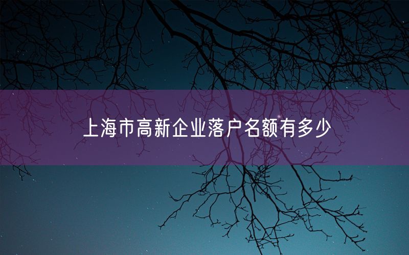 上海市高新企业落户名额有多少