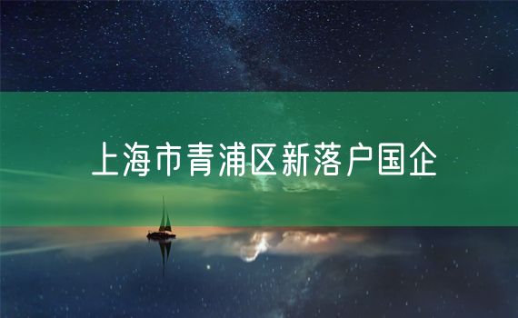 上海市青浦区新落户国企