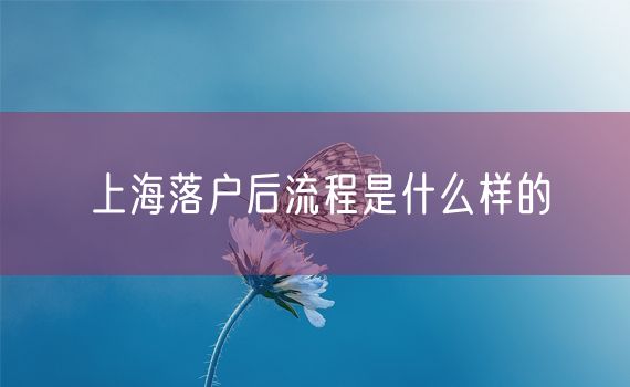 上海落户后流程是什么样的