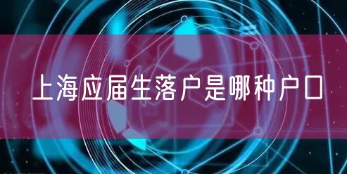 上海应届生落户是哪种户口