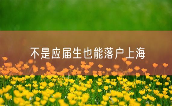 不是应届生也能落户上海