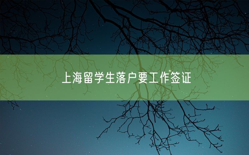 上海留学生落户要工作签证