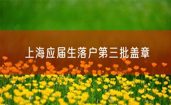 上海应届生落户第三批盖章