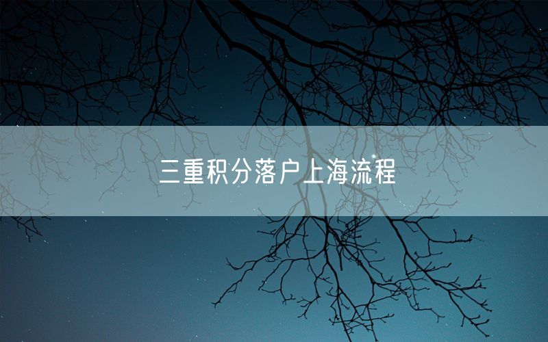三重积分落户上海流程