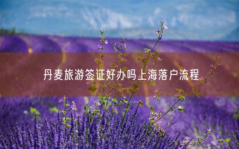 丹麦旅游签证好办吗上海落户流程