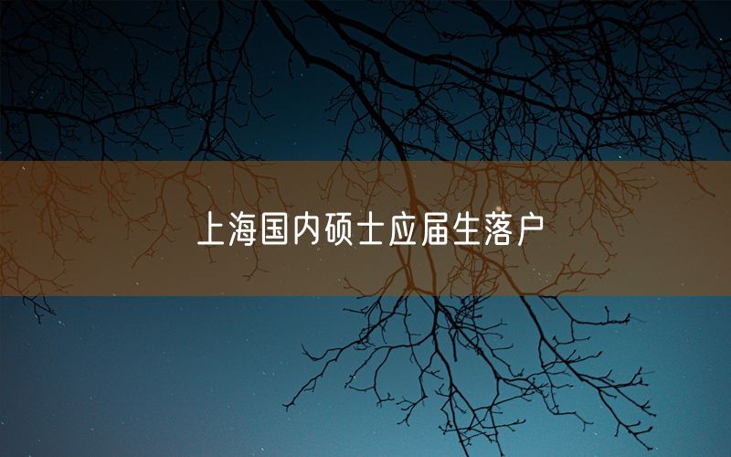 上海国内硕士应届生落户