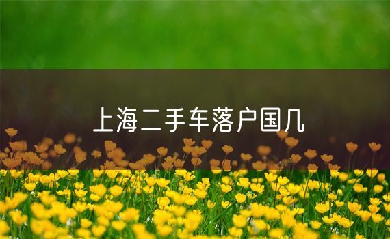 上海二手车落户国几