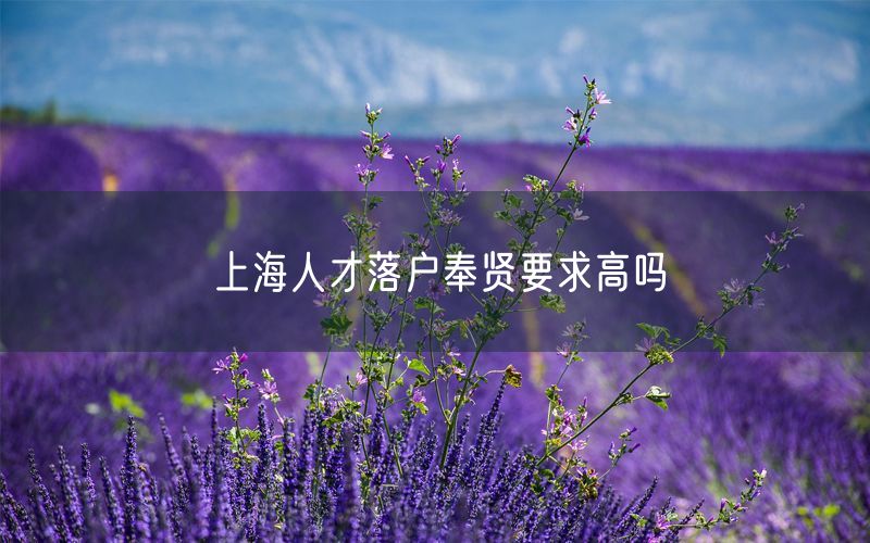 上海人才落户奉贤要求高吗
