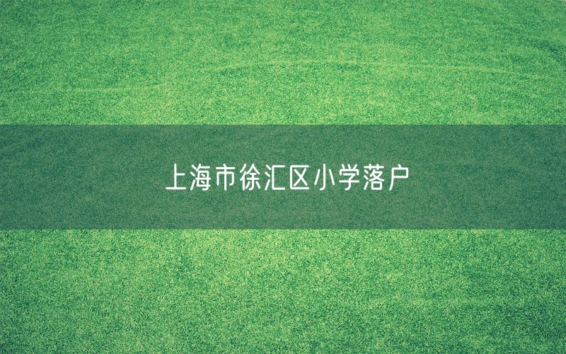 上海市徐汇区小学落户