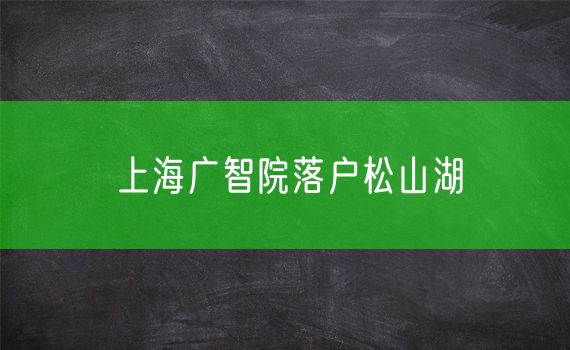 上海广智院落户松山湖