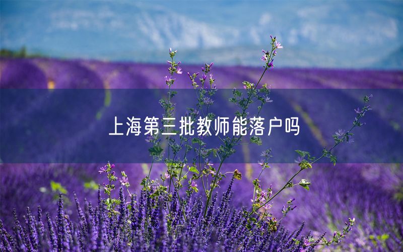 上海第三批教师能落户吗