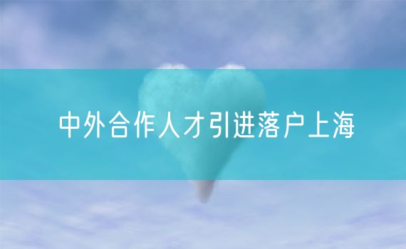 中外合作人才引进落户上海