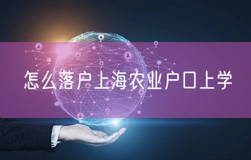 怎么落户上海农业户口上学
