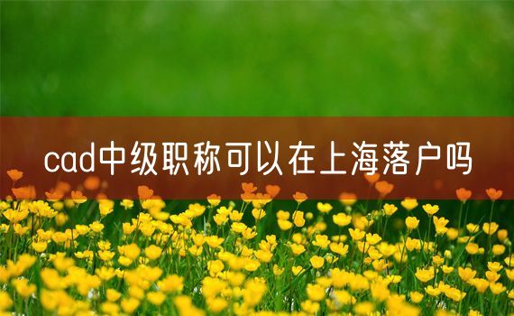 cad中级职称可以在上海落户吗