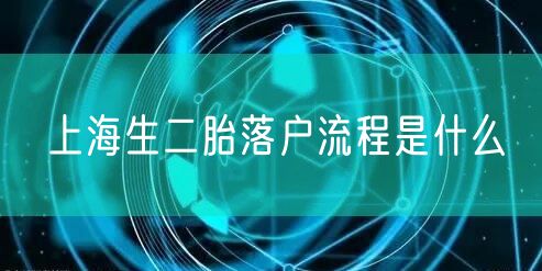 上海生二胎落户流程是什么
