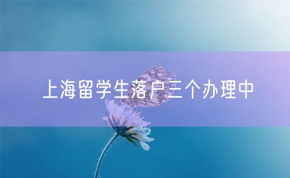 上海留学生落户三个办理中