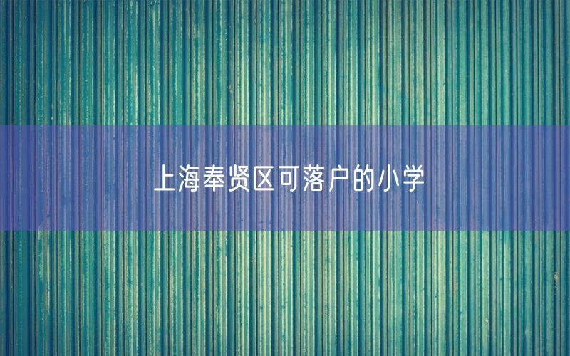 上海奉贤区可落户的小学