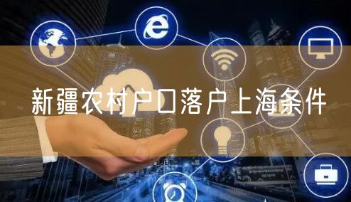 新疆农村户口落户上海条件